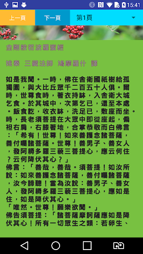 金剛經DiamondSutra Screen 2