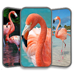 Cover Image of Download Flamingo Wallpaper HD  APK