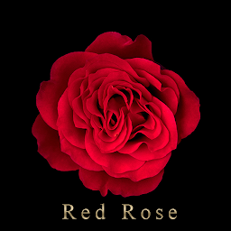 「Red Rose +HOMEテーマ」のアイコン画像