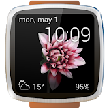Animated watch faces icon