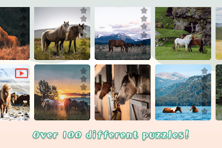 Horses Mania Jigsaw Puzzles
