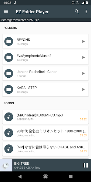 EZ Folder Player Mod APK