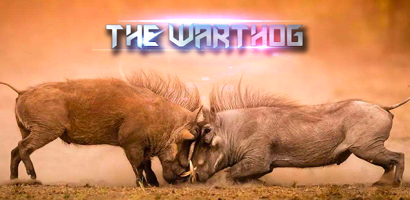 The Warthog