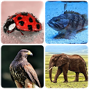 下载 Animals - Quiz about Mammals! 安装 最新 APK 下载程序