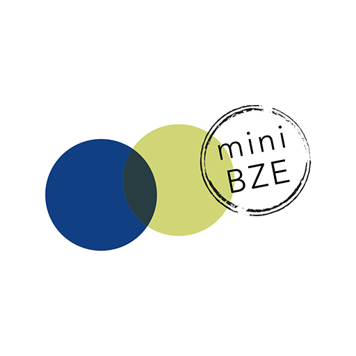 mini BZE logo
