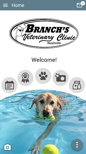 Android application Branchs Vet Clinic Nashville screenshort