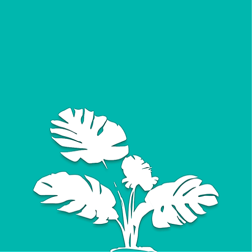 The Collector logo