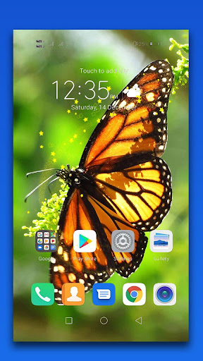 Butterfly Live Wallpaper Screen 3