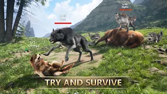 Game screenshot Wolf Game: Wild Animal Wars mod apk