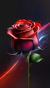 Rose Wallpaper Flower 3D image
