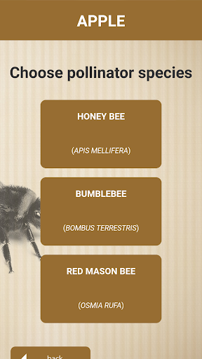 Bee Calculator Screen 3