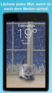 Weather Kitty Screenshot