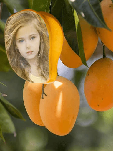 Fruit Photo Frames Screen 3