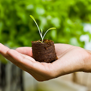 Container Gardening