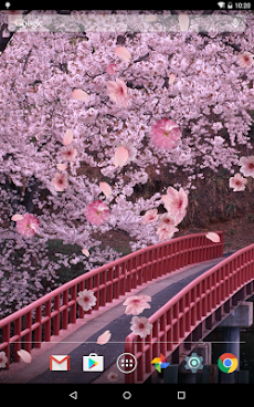 Sakura Live Wallpaperのおすすめ画像2