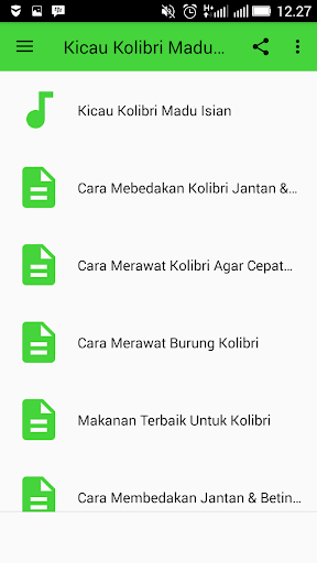 Kicau Kolibri Madu Full Isian