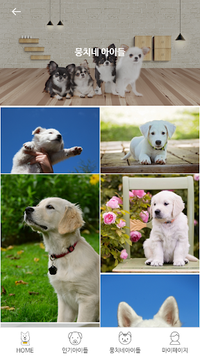 유기견 후원앱 뭉치