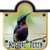 purple throated sunbird icon