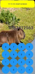 Capybara Calculator
