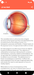 Anatomía del Ojo Humano