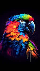 Parrot wallpapers | Bird Wallp