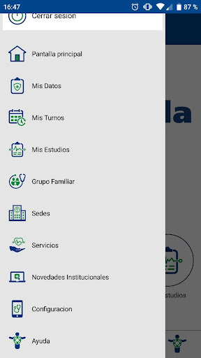 Diagnóstico Tesla Screen 2