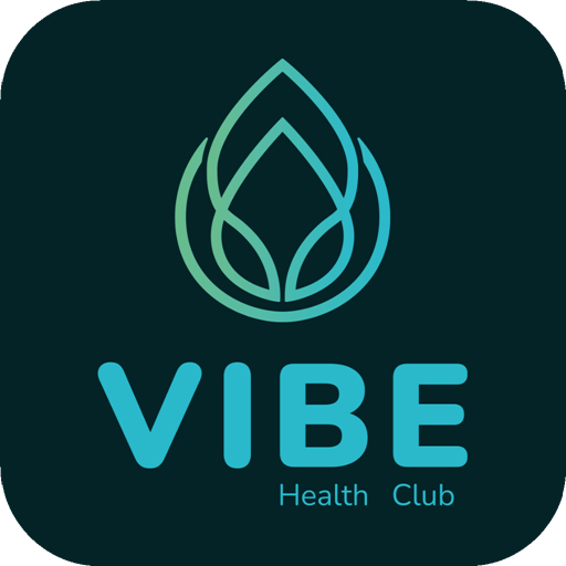Vibe GO logo