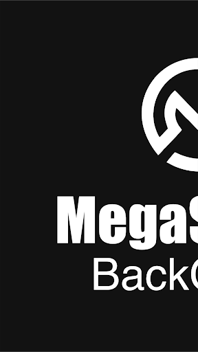 MegaShoop BackOffice Screen 3