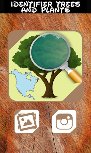 Identifier trees and plants Screen 3