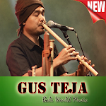 Cover Image of Download The Best Music of Gus Teja Offline 1.1 APK