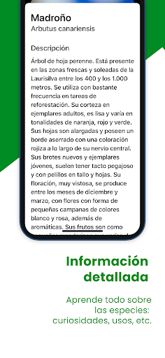Forest Canarias Screen 3