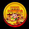 download Guide HIggs Domino RP Terbaru apk