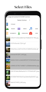 Screenshot image