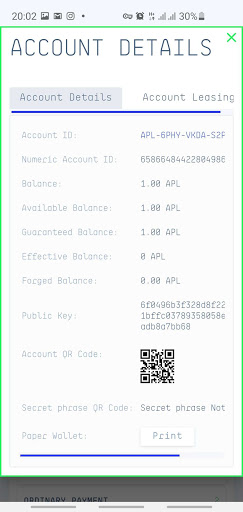 Apollo wallet Screen 3