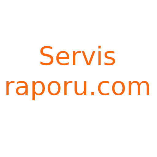 servisraporu.com logo