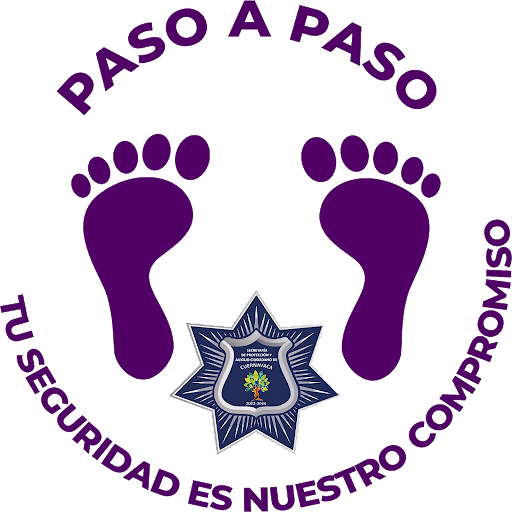 Android application Paso a Paso screenshort