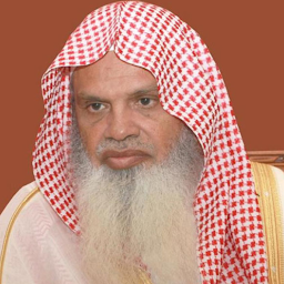 Icon image AlHudhaify Quran without net