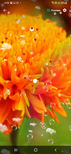 Marigold Wallpaper