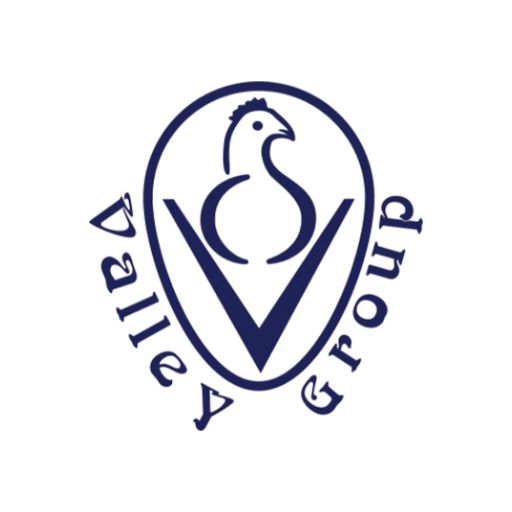 Valley Group logo