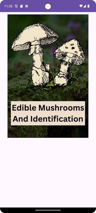 Mushroom Guide and Identifier - 1.0 - (Android)