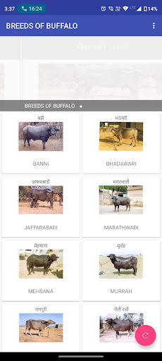 Dairy Farming Screen 2