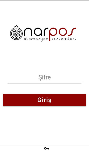 NarPOS Terminal Screen 2