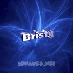 Cover Image of Download Bristy Cash1 2.0 APK