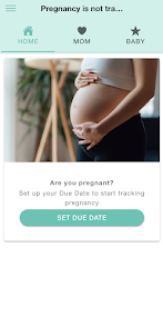Pregnancy Tracker Calculator