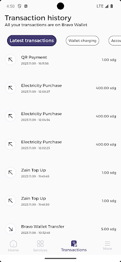 Bravo Sudan - eWallet Screen 3