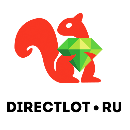 DIRECTLOT - станки, инструмент logo