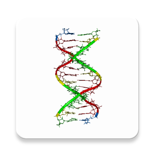 DNA and RNA Codon Converter Logo