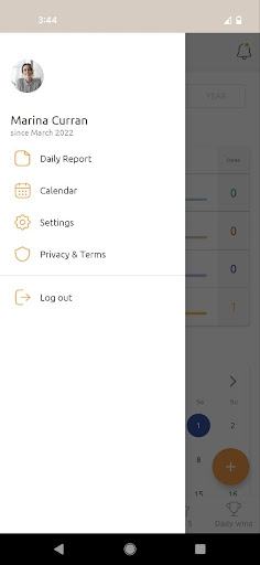 Mega Accountability Screen 2