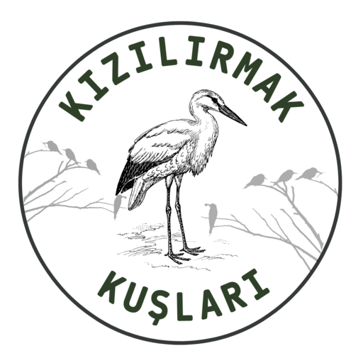 Kızılırmak Kuşları logo