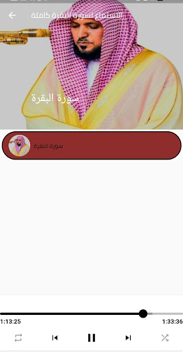 سورة البقرة بصوت ماهر المعيقلي Screen 3